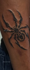 Acompanhante Preto Baiano