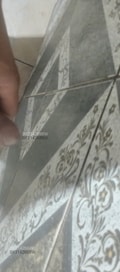 Acompanhante Rodrigo