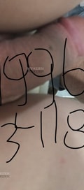 Acompanhante Andyss