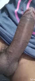 Acompanhante Sementinha Fxp