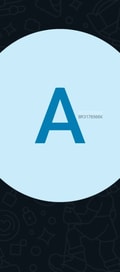 Acompanhante Breno