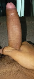Acompanhante Apolo