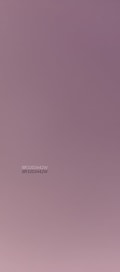 Acompanhante João