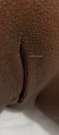 Acompanhante Fernanda