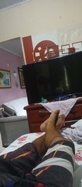 Acompanhante Wlpassos