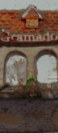 Acompanhante Gisha