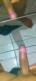 Acompanhante Novinquente