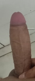 Acompanhante Xxxandre