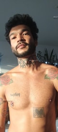 Acompanhante Falcão