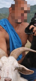 Acompanhante Junior