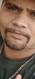 Acompanhante Gosozinho