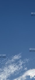 Acompanhante Igor Leite