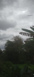 Acompanhante Misterioso