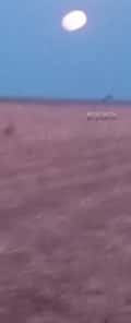 Acompanhante Magrão