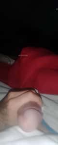 Acompanhante William