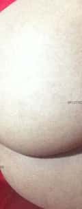 Acompanhante Heitor