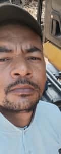 Acompanhante Coiote