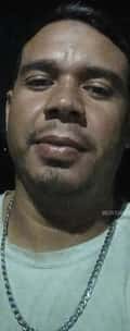 Acompanhante Pereira