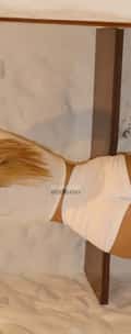 Acompanhante Larissa Rossi
