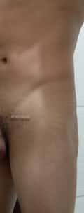 Acompanhante Almeida