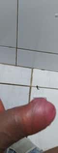 Acompanhante Jmarques
