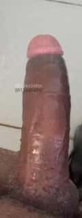 Acompanhante Preto