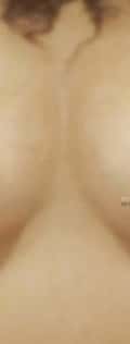 Acompanhante Quiro