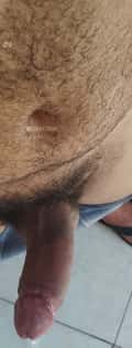 Acompanhante Douglas