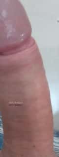 Acompanhante Loirinho Nota Dz