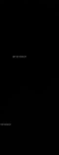 Acompanhante Marcelo Almeida