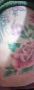 Acompanhante Ana