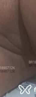 Acompanhante Morena