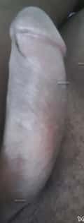 Acompanhante Elbufalo