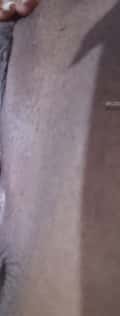 Acompanhante Cacau