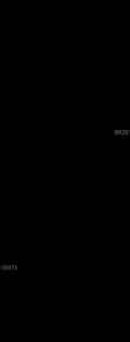 Acompanhante Misterioso