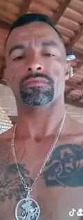 Acompanhante Nego Touro