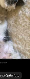 Acompanhante Richardo