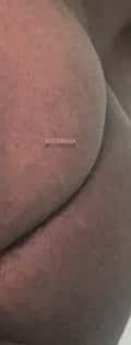 Acompanhante Rabudogp