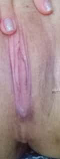 Acompanhante Aline