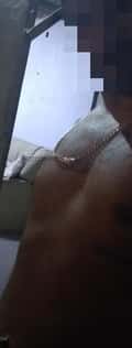 Acompanhante Henrique