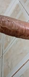 Acompanhante Pena Longa