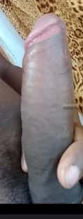 Acompanhante Gil