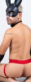 Acompanhante Gregory