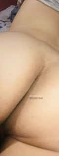 Acompanhante Paulox