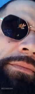 Acompanhante Bradoock