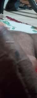 Acompanhante Pirulito