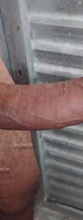 Acompanhante Bbc Fudedo Kasall