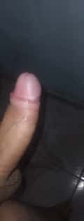 Acompanhante Arroz