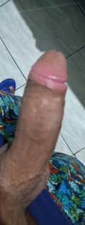 Acompanhante Selvague