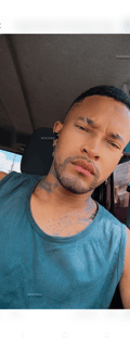 Acompanhante Will Smith